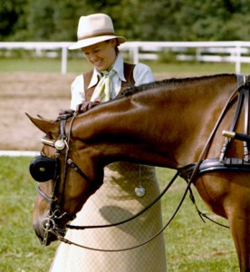 Morgan X Welsh Mare Scarlet Ribbons competing as a single in Pleasure Driving